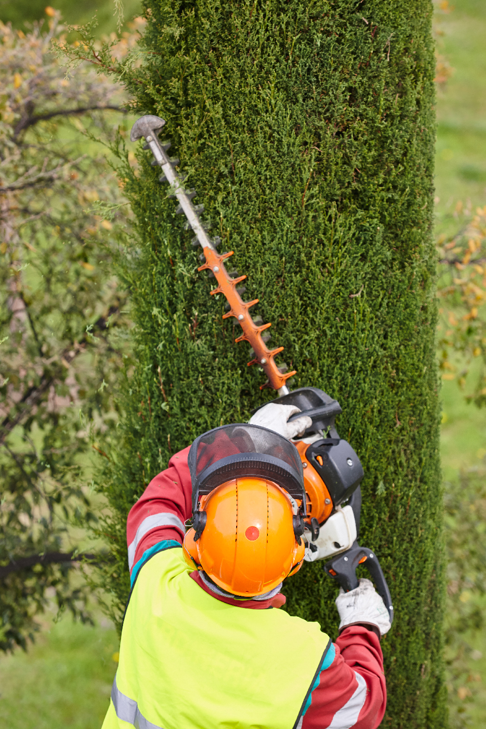 equiped-worker-pruning-a-tree-on-a-crane-gardenin-2021-08-26-18-12-47-utc